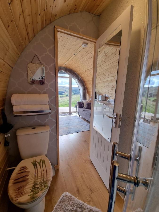 Forester'S Retreat Glamping - Dinas View Hotel Aberystwyth Exterior photo